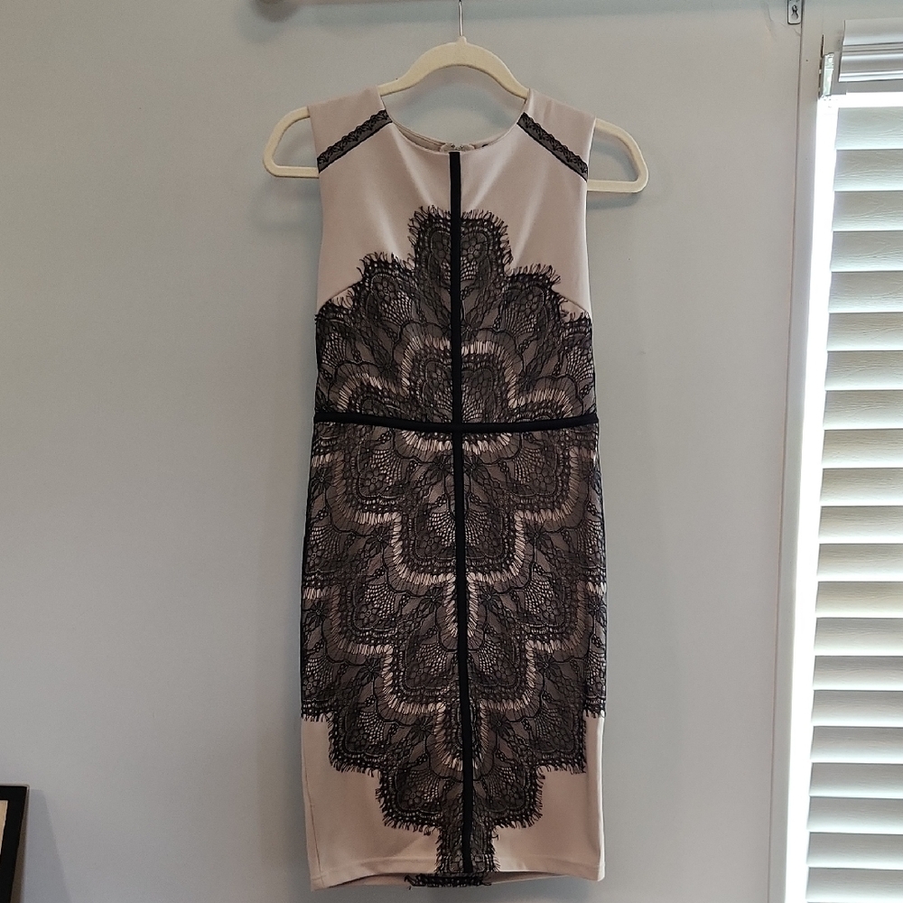 Elegant Black and Cream Lace Dress